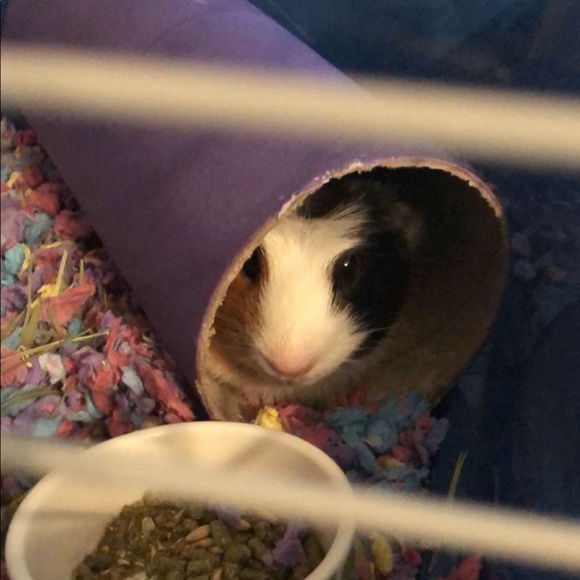 Meet your Posher, Kristin - Picture 1 of 1